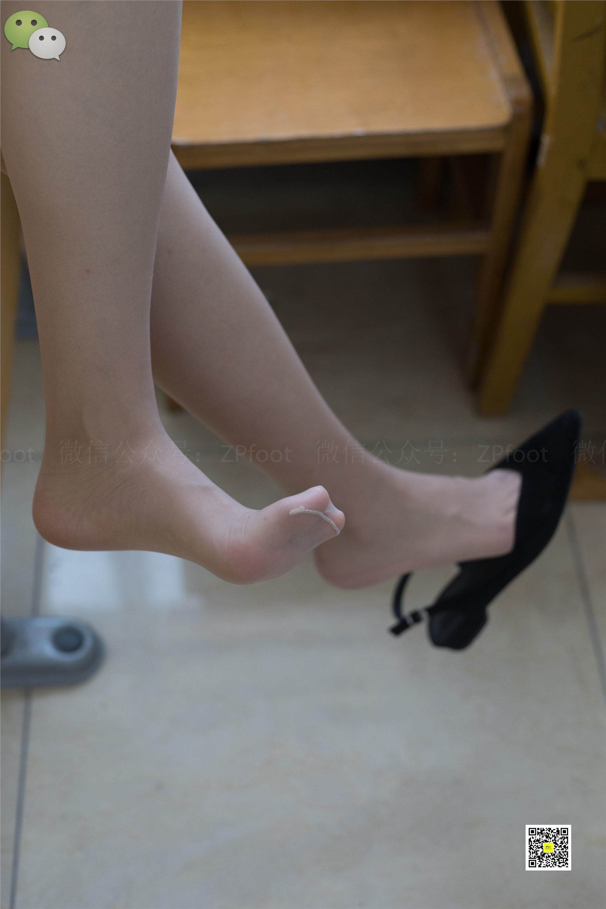 LSS山茶摄影 NO.005 学生肉丝